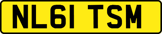 NL61TSM