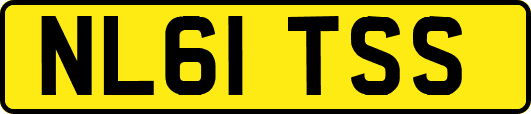 NL61TSS