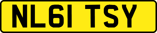 NL61TSY
