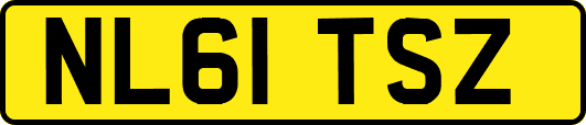 NL61TSZ