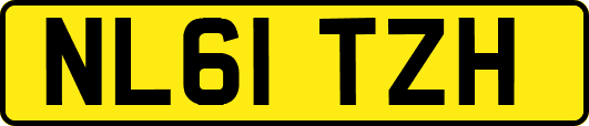 NL61TZH