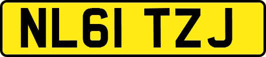 NL61TZJ