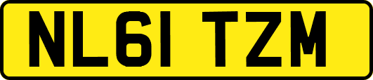 NL61TZM