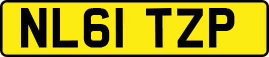 NL61TZP