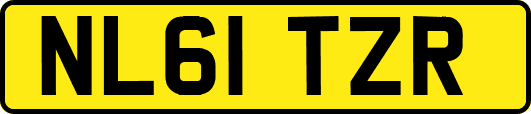 NL61TZR