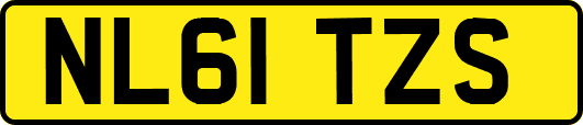 NL61TZS