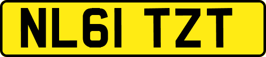 NL61TZT