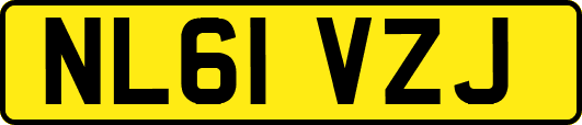 NL61VZJ