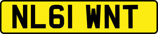 NL61WNT