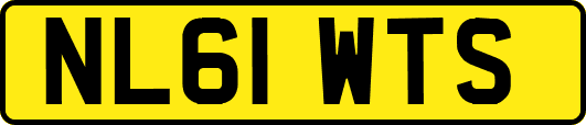 NL61WTS