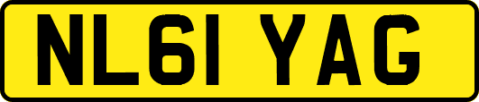 NL61YAG
