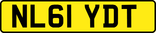NL61YDT