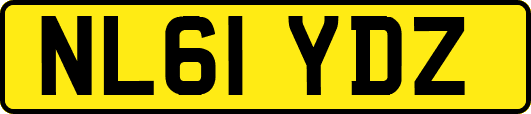 NL61YDZ