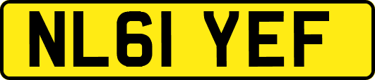 NL61YEF