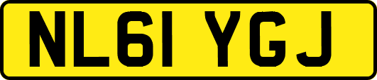 NL61YGJ