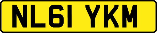 NL61YKM