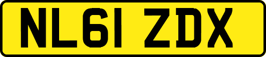 NL61ZDX
