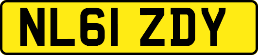 NL61ZDY