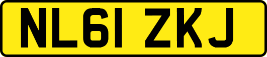 NL61ZKJ