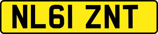 NL61ZNT
