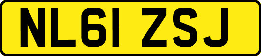 NL61ZSJ