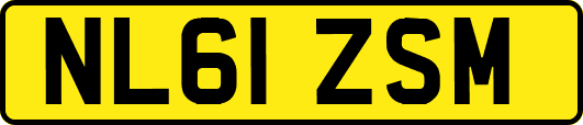 NL61ZSM