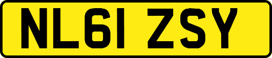 NL61ZSY
