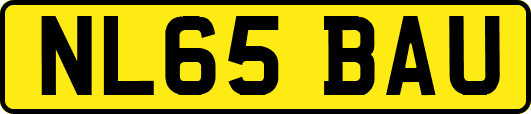 NL65BAU