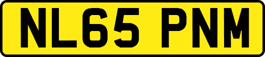 NL65PNM