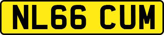 NL66CUM