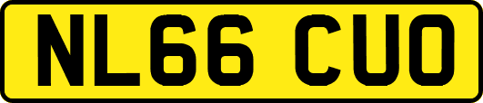 NL66CUO