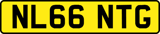 NL66NTG