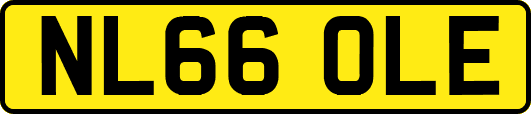 NL66OLE