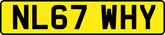 NL67WHY