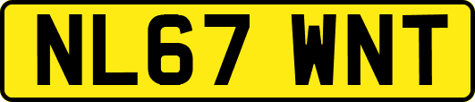 NL67WNT