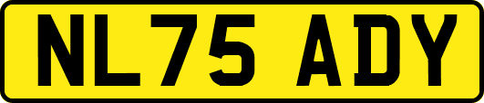 NL75ADY