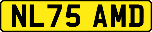 NL75AMD