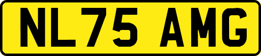 NL75AMG