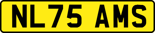 NL75AMS