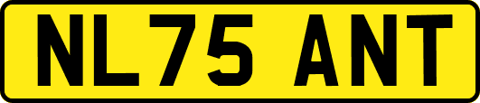NL75ANT