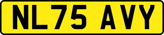 NL75AVY