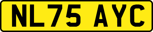 NL75AYC