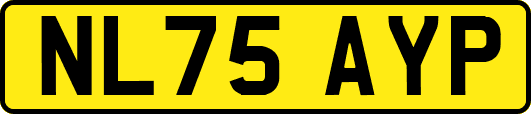 NL75AYP