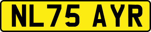 NL75AYR