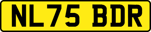 NL75BDR