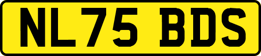NL75BDS