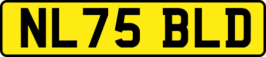 NL75BLD