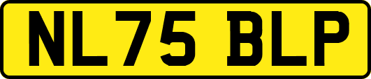 NL75BLP