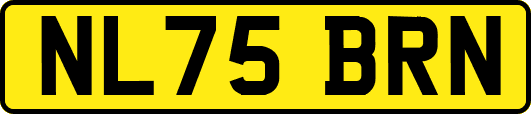 NL75BRN