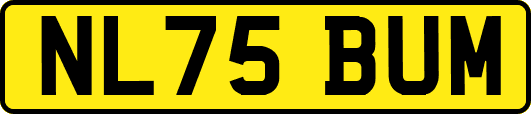 NL75BUM